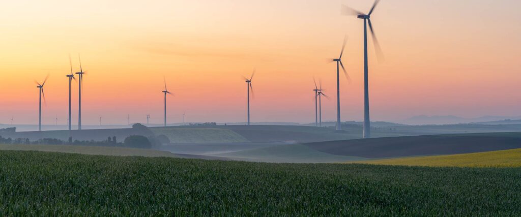 The Environmental Impact of Renewable Electricity