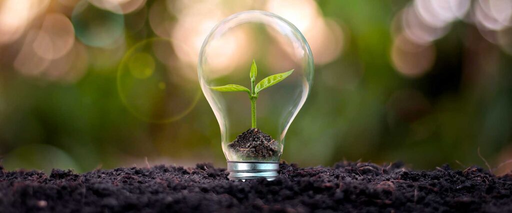 Green Choice Energy Ten Practical Tips for Reducing Electricity Usage in Your Home or Business